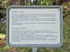 IMG-20250514-WA0014