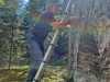 IMG-20250514-WA0017
