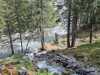 IMG-20250514-WA0024