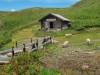 IMG-20250705-WA05
