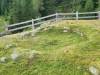 IMG-20250705-WA31