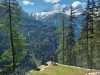IMG-20250524-WA0043