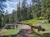 IMG-20250524-WA0049