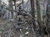 Selva04